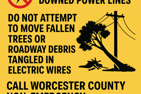 Stay safe around downed power lines