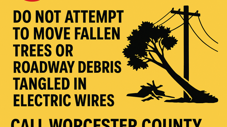 Stay safe around downed power lines